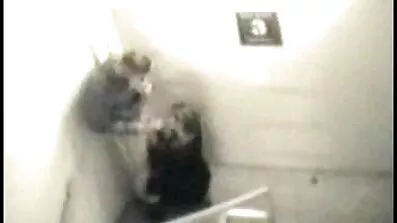 হার্ড fucked bangla চুদাচুদি ভিডিও doggystyle তার জন্মদিন পরে মাতাল