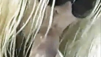 শুভ চুদাচুদি ভিডিও গান জন্মদিন সৎ বোন - COVID19
